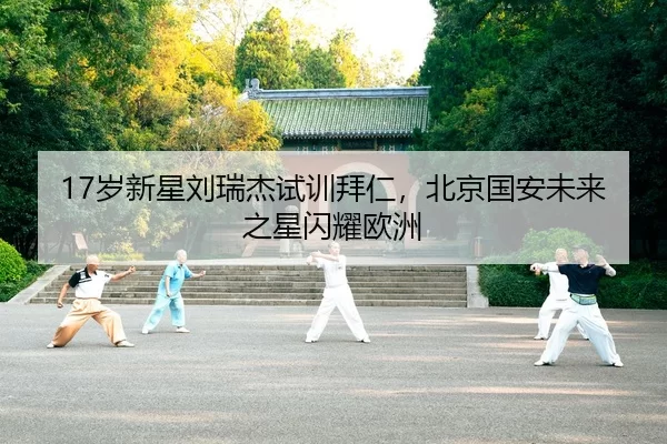 sui-xin-xing-liu-rui-jie-shi-xun-bai-ren-bei-jing-guo-an-wei-lai-zhi-xing-shan-yao-ou-zhou-2-817.jpg