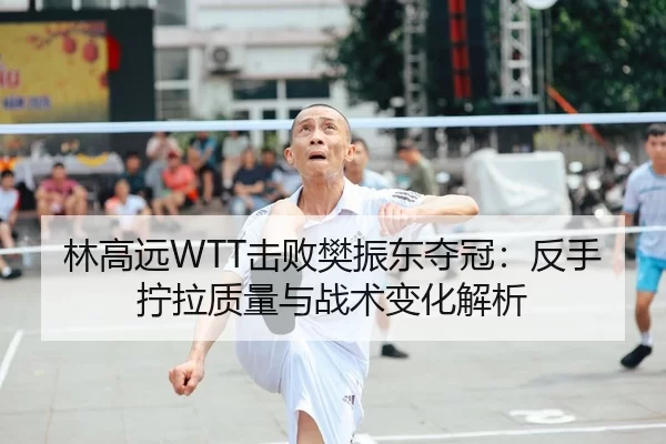 林高远WTT击败樊振东夺冠：反手拧拉质量与战术变化解析